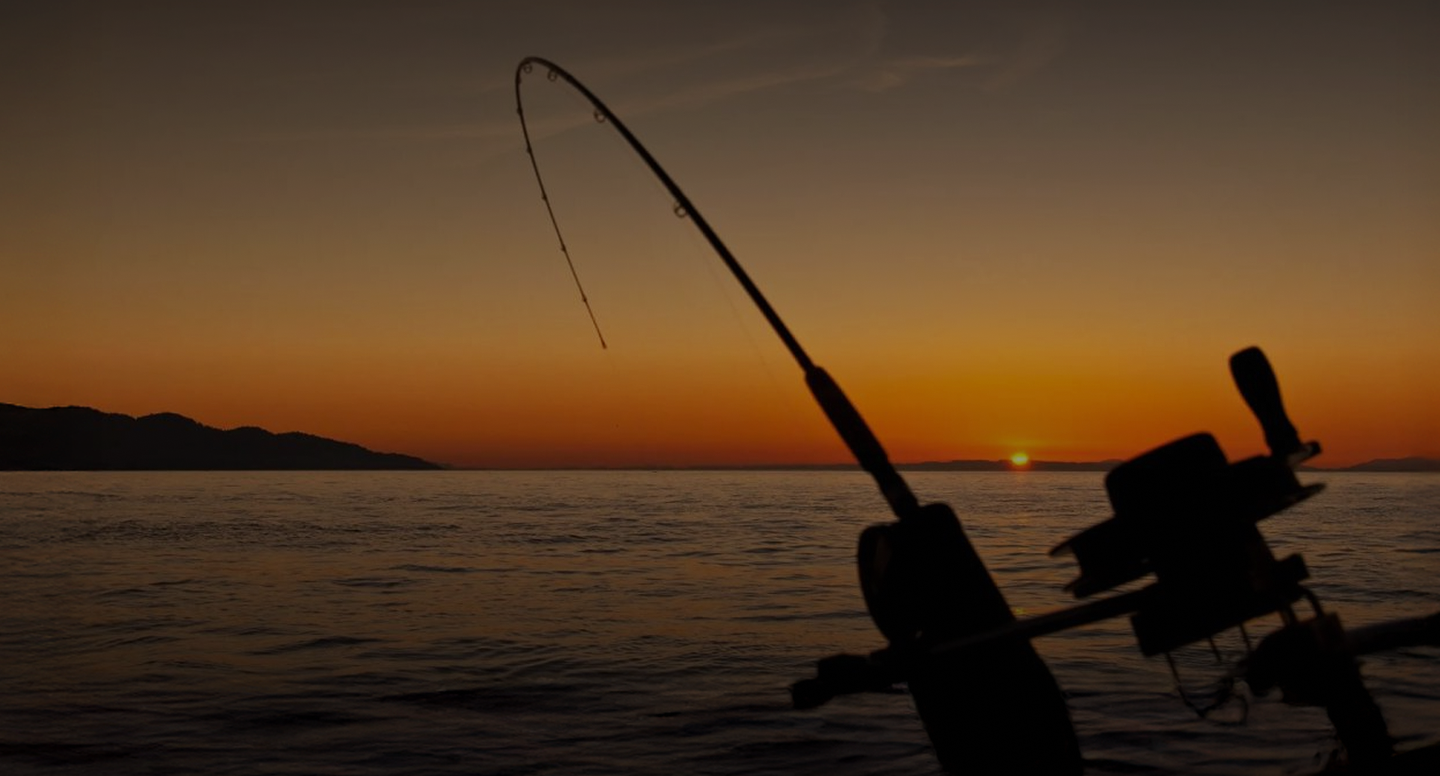 home-banner