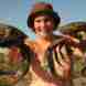 Cobourg Mud Crabs