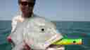 Open water fishing at Cobourg Peninsula