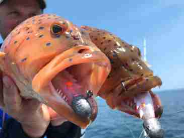 ​Our Top 5 lures for fishing on the Cobourg Peninsula