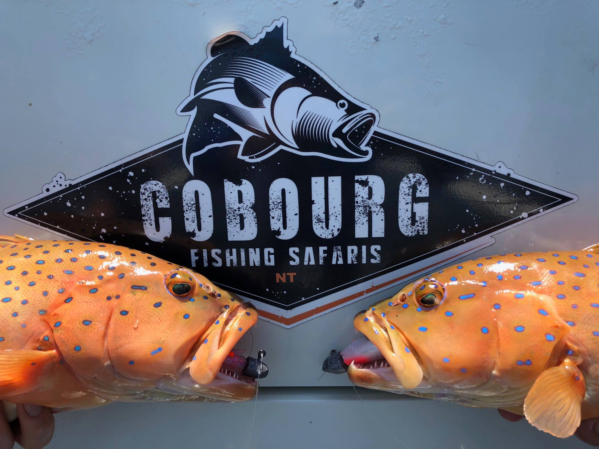 cobourg-fishing-safaris-cobourg-coastal-camp
