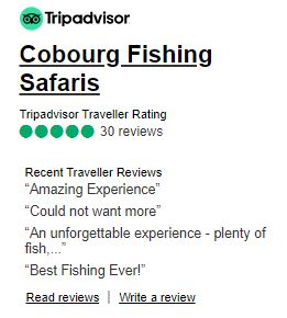 fishing charter reviews